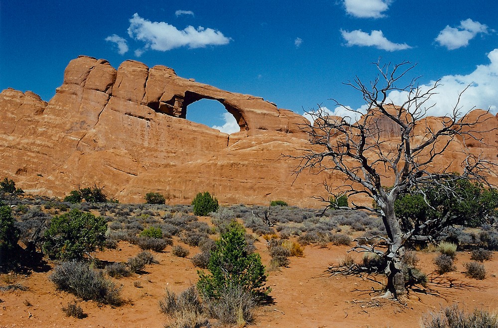 Arches National Park, Utah